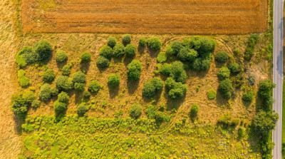 Działka 57 arów pod dom lub biznes  Tarnawa - Tarnawa  -
Małopolskie Zdjęcie nr 9