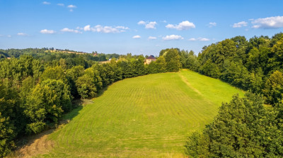Działka 70 arów pod dom lub biznes - Tarnawa - Tarnawa  -
Małopolskie Zdjęcie nr 6