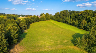 Działka 70 arów pod dom lub biznes - Tarnawa - Tarnawa  -
Małopolskie Zdjęcie nr 7