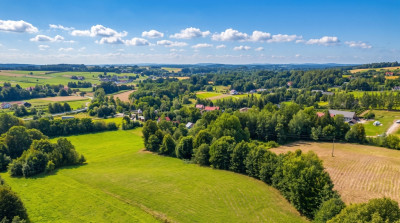 Działka 70 arów pod dom lub biznes - Tarnawa - Tarnawa  -
Małopolskie Zdjęcie nr 8