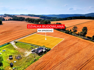 30 arów możliwości - Myślinów  - Dolnośląskie