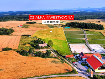 270 ha wyjątkowych możliwości Myślinów kJawora - Myślinów  -
Dolnośląskie Zdjęcie nr 3