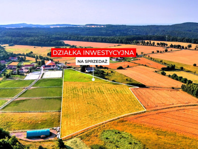 270 ha wyjątkowych możliwości Myślinów kJawora - Myślinów  -
Dolnośląskie Zdjęcie nr 6