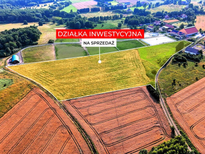 270 ha wyjątkowych możliwości Myślinów kJawora - Myślinów  -
Dolnośląskie Zdjęcie nr 8