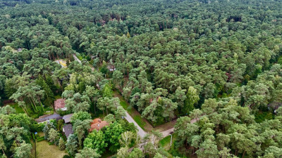 Działka budowlana 961 m2 uzbrojona plan miejsc - Sokolniki-Las  -
Łódzkie Zdjęcie nr 12