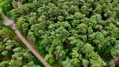 Działka budowlana 961 m2 uzbrojona plan miejsc - Sokolniki-Las  -
Łódzkie Zdjęcie nr 2