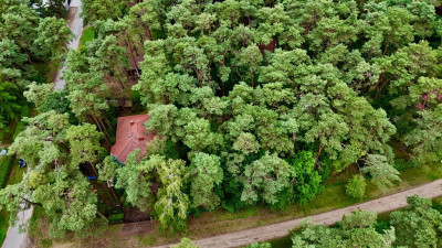 Działka budowlana 961 m2 uzbrojona plan miejsc - Sokolniki-Las  -
Łódzkie Zdjęcie nr 6