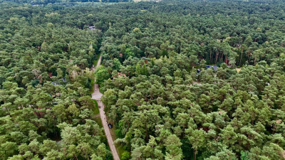 Działka budowlana 961 m2 uzbrojona plan miejsc - Sokolniki-Las  -
Łódzkie Zdjęcie nr 8