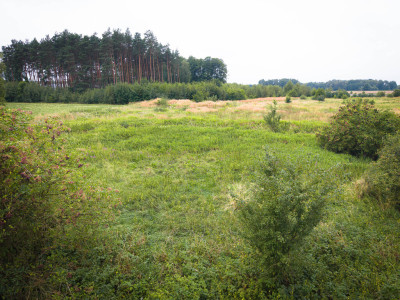 Działka budowlana 900 m MPZP droga utwardzona - Ruda-Bugaj  -
Łódzkie Zdjęcie nr 7