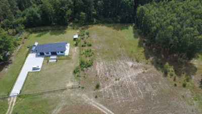 4000 m las za płotem i święty spokój  Biały Bór - Biały Bór  - Kujawsko-Pomorskie