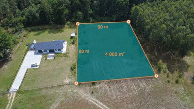 4000 m las za płotem i święty spokój  Biały Bór - Biały Bór  -
Kujawsko-Pomorskie Zdjęcie nr 2