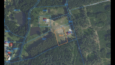 4000 m las za płotem i święty spokój  Biały Bór - Biały Bór  -
Kujawsko-Pomorskie Zdjęcie nr 4