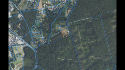 4000 m las za płotem i święty spokój  Biały Bór - Biały Bór  -
Kujawsko-Pomorskie Zdjęcie nr 5