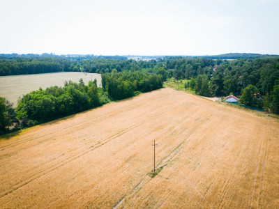 Idealna przestrzeń na Twój nowy dom - Bądzyń  -
Łódzkie Zdjęcie nr 3