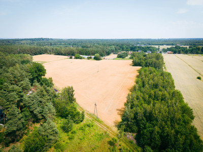 Idealna przestrzeń na Twój nowy dom - Bądzyń  -
Łódzkie Zdjęcie nr 5