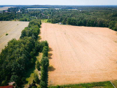 Idealna przestrzeń na Twój nowy dom - Bądzyń  -
Łódzkie Zdjęcie nr 7
