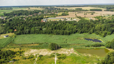Prawie 7 ha w Żarach za 870 złm - Żary  -
Lubuskie Zdjęcie nr 10