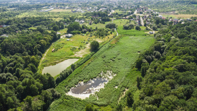 Prawie 7 ha w Żarach za 870 złm - Żary  -
Lubuskie Zdjęcie nr 4