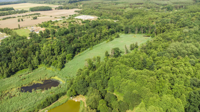 Prawie 7 ha w Żarach za 870 złm - Żary  -
Lubuskie Zdjęcie nr 5