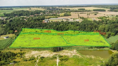 Prawie 7 ha w Żarach za 870 złm - Żary  -
Lubuskie Zdjęcie nr 6