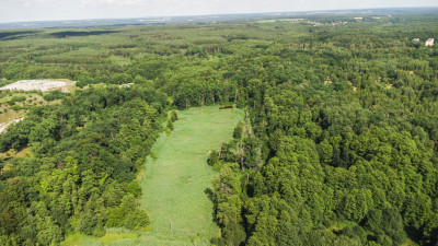 Prawie 7 ha w Żarach za 870 złm - Żary  -
Lubuskie Zdjęcie nr 7