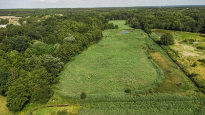 Prawie 7 ha w Żarach za 870 złm - Żary  -
Lubuskie Zdjęcie nr 8