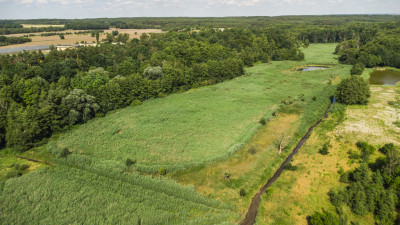 Prawie 7 ha w Żarach za 870 złm - Żary  -
Lubuskie Zdjęcie nr 9