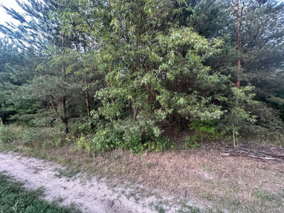 Rosanów działka 3050m2 z ogromnym potencjałem - Rosanów  -
Łódzkie Zdjęcie nr 3