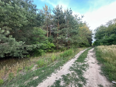 Rosanów działka 3050m2 z ogromnym potencjałem - Rosanów  -
Łódzkie Zdjęcie nr 4
