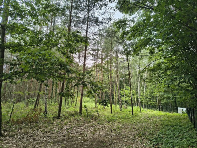 OKAZJA 160złm2 Sokolniki- Las - Sokolniki-Las  - Łódzkie