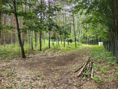 OKAZJA 160złm2 Sokolniki- Las - Sokolniki-Las  -
Łódzkie Zdjęcie nr 2