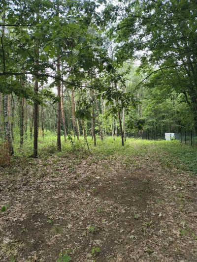 OKAZJA 160złm2 Sokolniki- Las - Sokolniki-Las  -
Łódzkie Zdjęcie nr 4