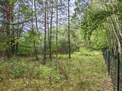 150 złm2 w Sokolnikach-Lesie TAK - Sokolniki-Las  -
Łódzkie Zdjęcie nr 2