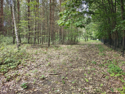 Działka 2442m2 w Sokolnikach-Lesie 150złm2 - Sokolniki-Las  -
Łódzkie Zdjęcie nr 3