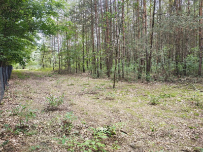 Działka 2442m2 w Sokolnikach-Lesie 150złm2 - Sokolniki-Las  -
Łódzkie Zdjęcie nr 4