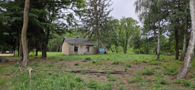 Inny wymiar życia Zamień hałas na las - Jasionka  -
Łódzkie Zdjęcie nr 6