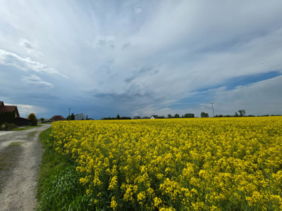 Działka na sprzedaż - Przeworsk  -
Podkarpackie Zdjęcie nr 10