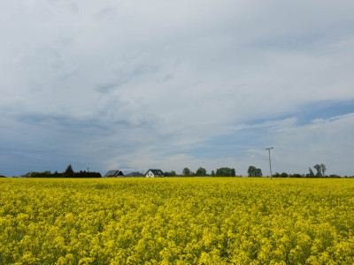 Działka na sprzedaż - Przeworsk  -
Podkarpackie Zdjęcie nr 11