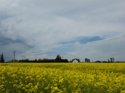 Działka na sprzedaż - Przeworsk  - Podkarpackie