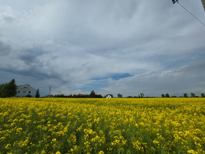 Działka na sprzedaż - Przeworsk  -
Podkarpackie Zdjęcie nr 5