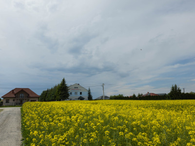 Działka na sprzedaż - Przeworsk  -
Podkarpackie Zdjęcie nr 9