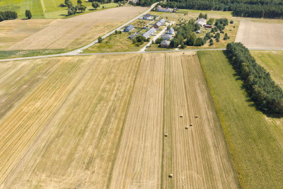 Działka rolna 16 ha - Plewnia  - Wielkopolskie