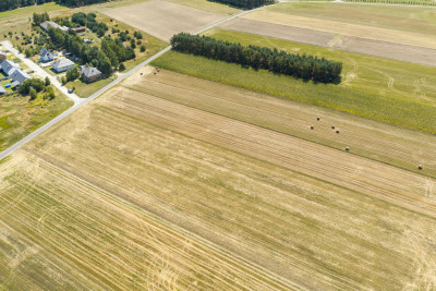 Działka rolna 16 ha - Plewnia  -
Wielkopolskie Zdjęcie nr 2