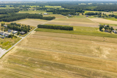 Działka rolna 16 ha - Plewnia  -
Wielkopolskie Zdjęcie nr 4