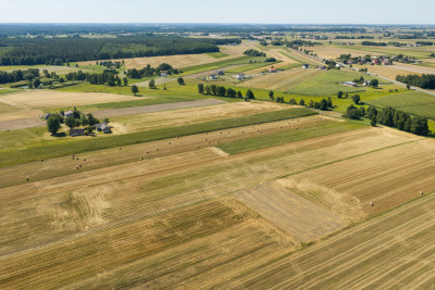 Działka rolna 16 ha - Plewnia  -
Wielkopolskie Zdjęcie nr 5