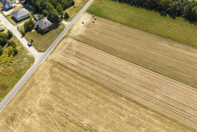 Działka rolna 16 ha - Plewnia  -
Wielkopolskie Zdjęcie nr 7