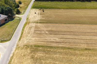 Działka rolna 16 ha - Plewnia  -
Wielkopolskie Zdjęcie nr 8