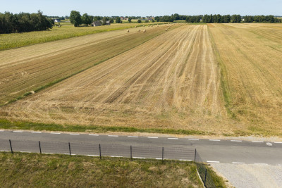 Działka rolna 16 ha - Plewnia  -
Wielkopolskie Zdjęcie nr 9