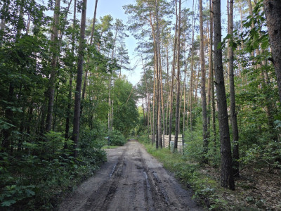 Twój dom pośród drzew  2022 m  Wandzin - Wandzin  -
Łódzkie Zdjęcie nr 2
