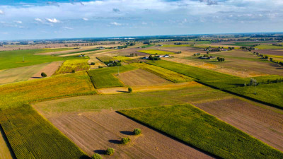 Trzy Działki w wiejskim klimacie Warunki Zabudowy - Grzebienisko  -
Wielkopolskie Zdjęcie nr 14